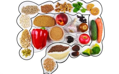 Good Gut Guide