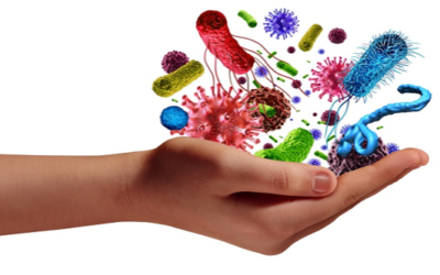 Improving Immunity