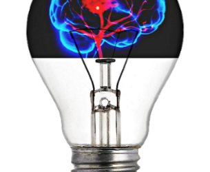 Optimising Minds